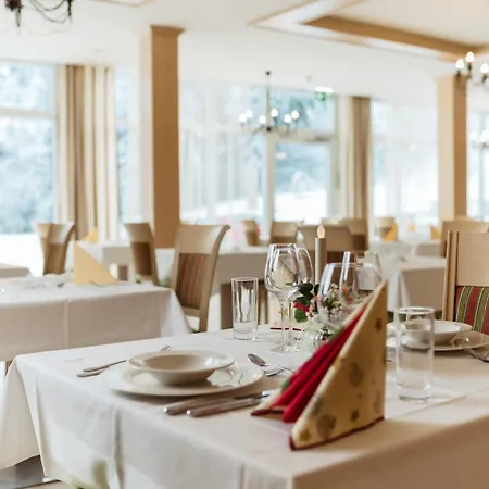 Optimamed Gesundheitsresort Weissenbach מלון Bad Weissenbach